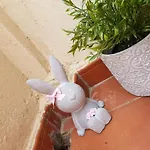 El Balcon De Pilar