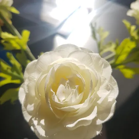 El Balcon De Pilar * 사라고사