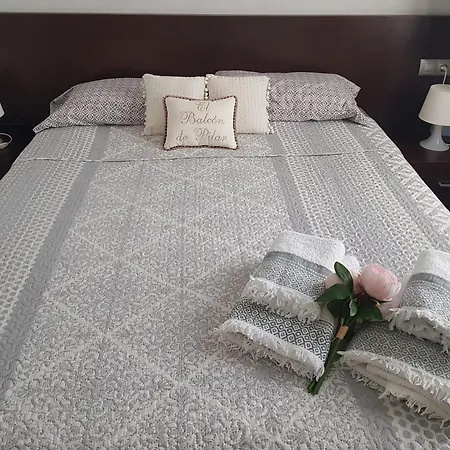 El Balcon De Pilar 公寓 萨拉戈萨