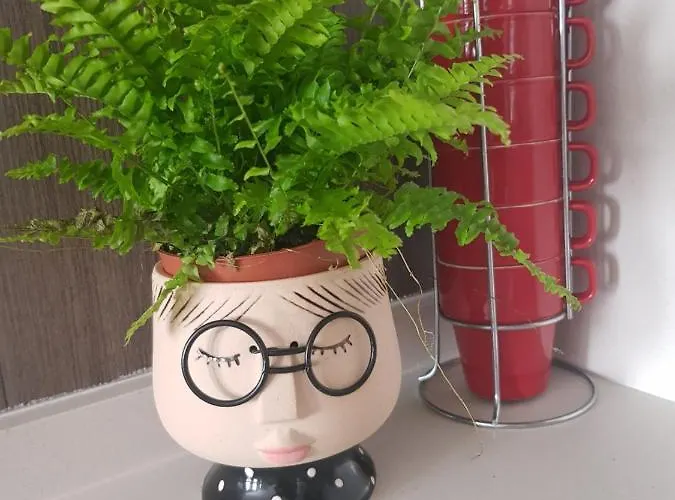 El Balcon De Pilar Saragozza