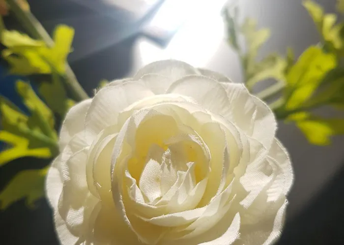 El Balcon De Pilar * Saragozza